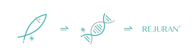 Rejuran: Polynucleotides (PN) and Salmon DNA